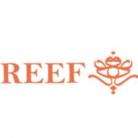 تعلن شركة ريف القابضة وظائف مبيعات بجميع مناطق المملكة