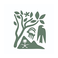 تعلن هيئة تطوير محمية الملك سلمان عن توفر وظائف للجنسين برواتب تصل 10,500 ريال